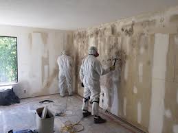 Best Residential Mold Inspection & Testing  in East Moline, IL